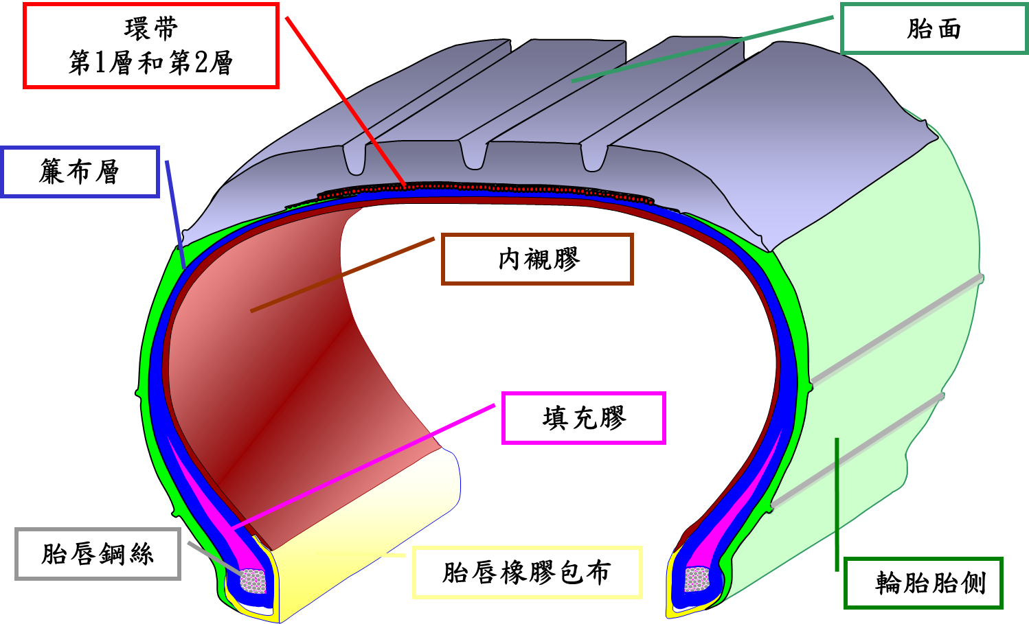 基本輪胎結構＿剖面圖